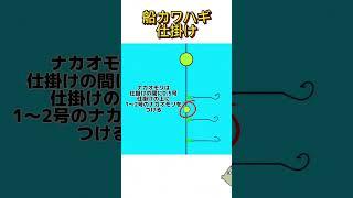 船カワハギトーナメンターの仕掛け #釣り #フィッシングマックス#カワハギ #カワハギ釣り