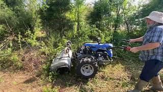 Bittante Flail mower Pulverizing Thorns and brambles