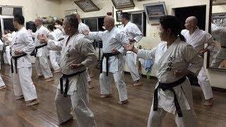 Shorin-Ryu Kyudokan- Kihon,Katas training