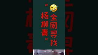 全网寻找“杨柳青”（慎看．小心笑死）