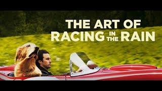 The Art of Racing in the Rain