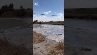 2025 River Water Arrival