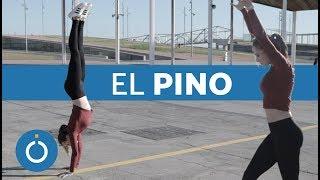 COMO HACER el PINO - Tutorial PASO A PASO para hacer la VERTICAL