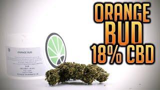 ORANGE BUD 18% CBD | JustBob