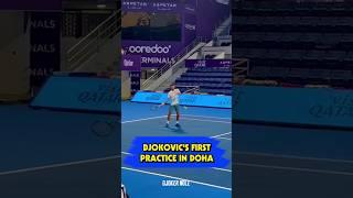 Djokovic's first practice in Doha 2025 #djokovic #novakdjokovic