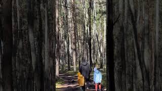 «Брат» Стихи и озвучка Настя Ковалёва #озвучка #стишки #япишустихи