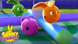 Sunny Bunnies - FUN WEEKEND ADVENTURES OF SEASON 6 | COMPILATION | Funny Cartoons For Kids