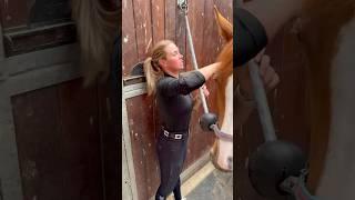 Pferdehofliebe - Chaos Queen  #pferdehofliebe #equestrian #youtubeshorts #horse @growi_official