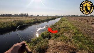 Zomerse boeren Karpers vangen met soepele hengel en broodvlok.  FishVlog #98