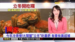 獨家》今年冷得慢！大閘蟹「立冬」吃最肥 有膏有黃超補  2024／11／07 【吳宇舒晚報】@newsebc