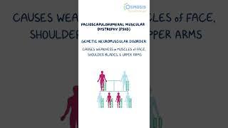 What Causes Fascioscapulohumeral Muscular Dystrophy?