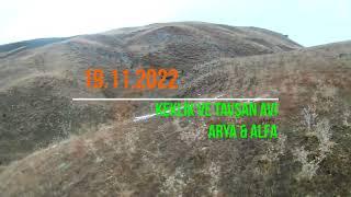 tavşan avı  keklik avı 19.11.2022, @ rubbit partridge Hunting, кролик куропатка охотиться #hunting