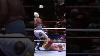 HOGAN V FLAIR