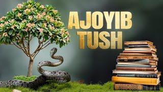 Ajoyib tush | Ustoz Abdulloh Zufar