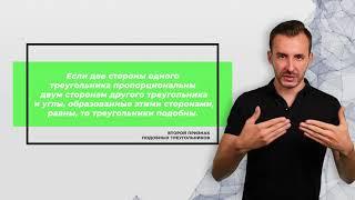 ВСЕ О ПОДОБНЫХ ТРЕУГОЛЬНИКАХ; Основные свойства (теория) | Математика