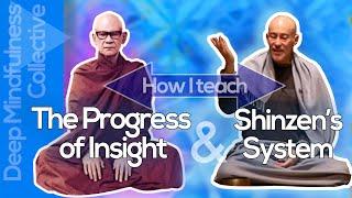 The Progress Of Insight + Shinzen Young's System  How I teach this path of Spiritual Enlightenment