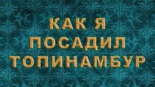 Как Я посадил топинамбур. (Осенняя посадка)