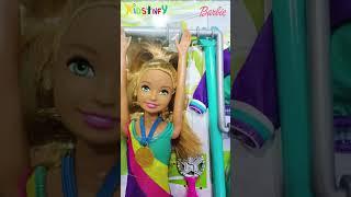 Barbie Team Stacie Doll With Gymnastics Playset