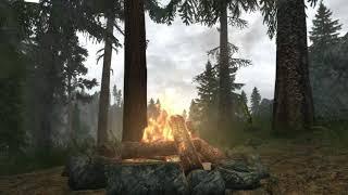 Skyrim -ASMR- Nap Time by Campfire in The Deep Woods - Ambient Sounds