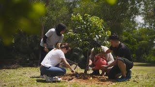 Building a Greener Future | National Geographic