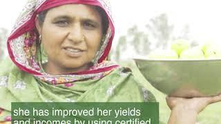 Project PAVE - Nazia Parveen