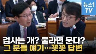 국감의 샛별? 검사의 소신?...송경호 중앙지검장 법사위 답변