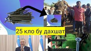 БИЗ УША ЖОЙДИ ТОПТИГ УЗИЗ БИР КУРИН +998902118212 ТЕЛГРАМ БОР