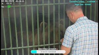 Мансур  Андрей приезжает в гости! Papa Andrey comes for a visit. 