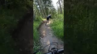 Marco der ÜberfliegerGrunis MTB Corner nimmt alles mit#mtb #mtblife #funny #chur #shorts #short