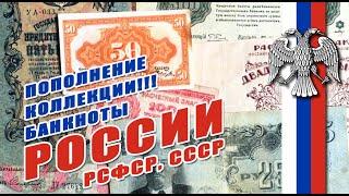 Пополнение коллекции // Банкноты России, РСФСР, СССР 