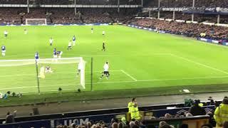 Everton 1-1 Tottenham Hotspur | Dele Alli ️