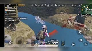 COMPANION in pubg mobile |How to get eagle in pubg Mobile