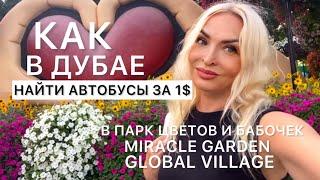 Как в Дубае найти автобусы в Miracle Garden,Global Village,Сад цветов и Парк бабочек Инструкция