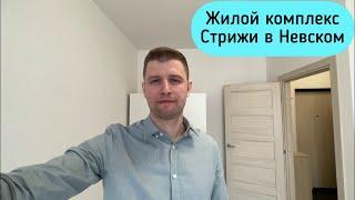 Обзор однокомнатной квартиры ЖК Стрижи в Невском.