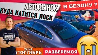 Куда катится авторынок Лоск ? Бюджетных авто стало больше !