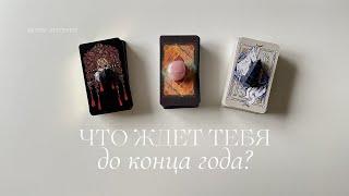 Что ждет тебя до конца года? | Таро расклад