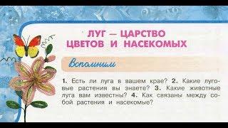 Окружающий мир 3 класс ч.1, тема урока "Луг - царство цветов и насекомых", с.104-109, Перспектива.