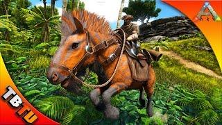 ARK EQUUS TAMING! WHERE TO FIND & HOW TO TAME THE EQUUS! Ark: Survival Evolved V256 Gameplay