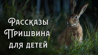 Рассказы Пришвина для детей