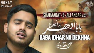 Nohay 2025 | Baba Idhar Na Dekhna | Ali Mohammad Sultanpuri Noha 2025 | Noha Shahadat Ali Akbar