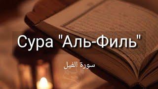 Выучите Коран наизусть | Каждый аят по 10 раз | Сура 105 "Аль-Филь"