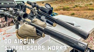 Do Airgun Suppressors Work? BIG BORE EDITION | DonnyFl Moderator Review