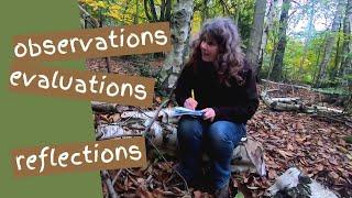 Planning Learner Led Sessions for Forest School - Tips for observing, evaluating and reflecting