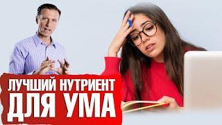 Как улучшить работу мозга? Лучший нутриент для мозга