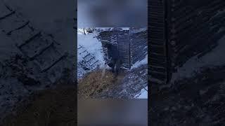 Camping in heavy snow#bushcraft#build#camp#camping#survival#shelter#wildlife#Outdoors#outdoor#viral