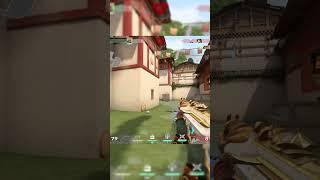 Ace Clutch with RAZE