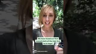 ‍Dr. Cliffe's Adventures in Brazil!