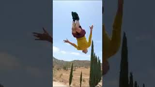 Dillon’s greatest hits 2