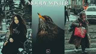 Moody Winter Preset | Lightroom Mobile Preset Free DNG | winter preset | lightroom presets