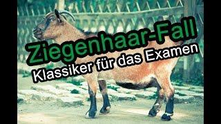 Ziegenhaar-Fall - Abgrenzung Aktives Tun und Unterlassen